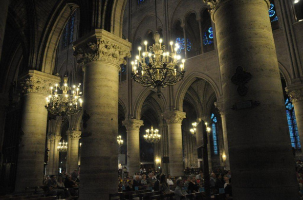 Katedra Notre Dame #ParyżParisNotreDame