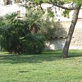 Włochy - Bari