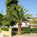 Grecja - Tolo