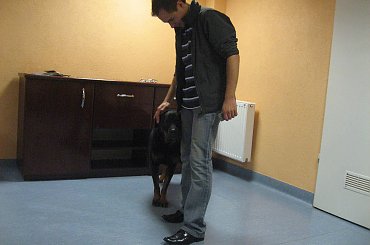 #rottweiler #anwil #rottweilery #rottka #fundacja #pomorska