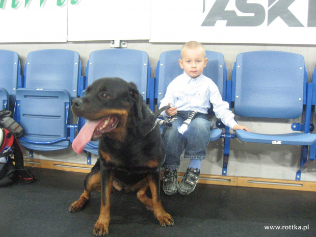 #rottweiler #anwil #rottweilery #rottka #fundacja #pomorska