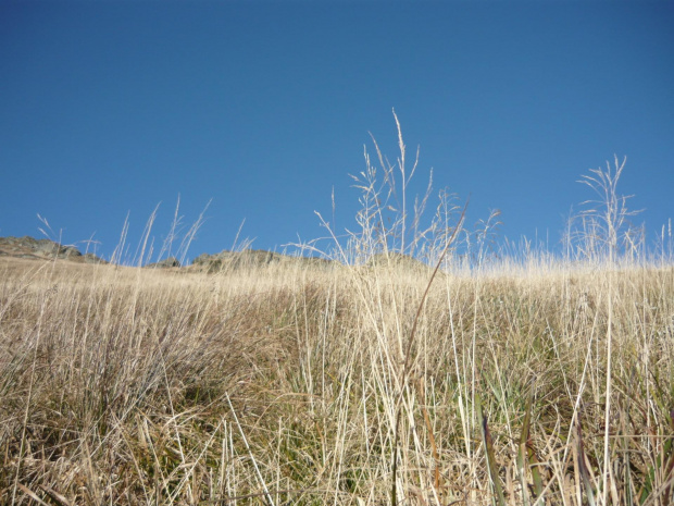 #góry #bieszczady #jesień