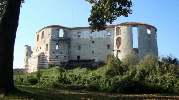 Zamek w Janowcu nad Wisłą.