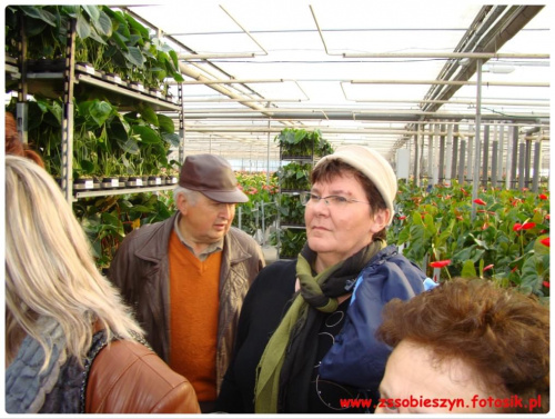 Wycieczka do JMP Flowers w Stężycy czyli...namiastka raju na ziemi