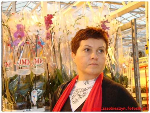 Wycieczka do JMP Flowers w Stężycy czyli...namiastka raju na ziemi