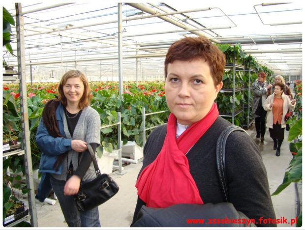 Wycieczka do JMP Flowers w Stężycy czyli...namiastka raju na ziemi