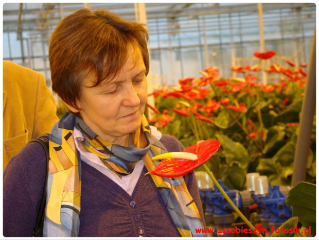 Wycieczka do JMP Flowers w Stężycy czyli...namiastka raju na ziemi