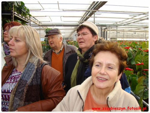 Wycieczka do JMP Flowers w Stężycy czyli...namiastka raju na ziemi