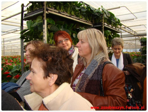 Wycieczka do JMP Flowers w Stężycy czyli...namiastka raju na ziemi