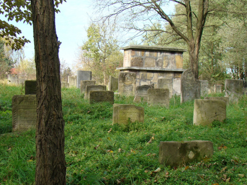 Jesień na cmentarzu żydowskim #Staszów #kierkut
