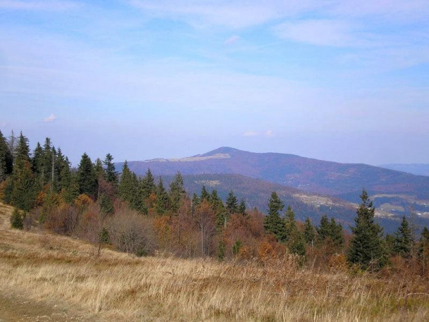 Gorce - widok na Mogielicę w Beskidzie Wyspowym z polany Gorc Kamienicki #góry #beskidy #gorce #gorc