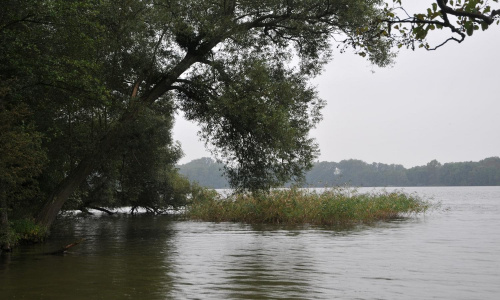 Jezioro podczas deszczu