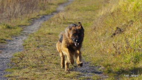 Sobota,popołudnie 5 godzin po oddaniu krwi #Parys #GildoWiernyDruh