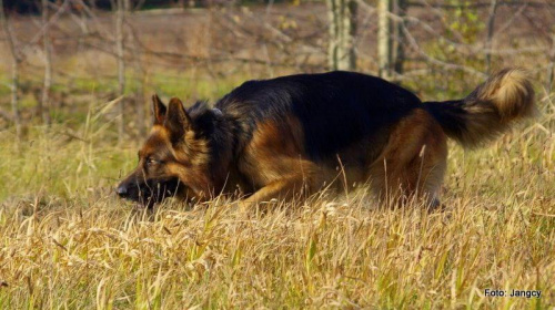 Sobota,popołudnie 5 godzin po oddaniu krwi #Parys #GildoWiernyDruh