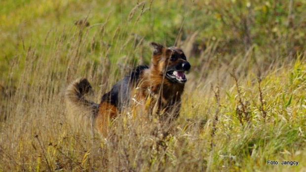 Sobota,popołudnie 5 godzin po oddaniu krwi #Parys #GildoWiernyDruh