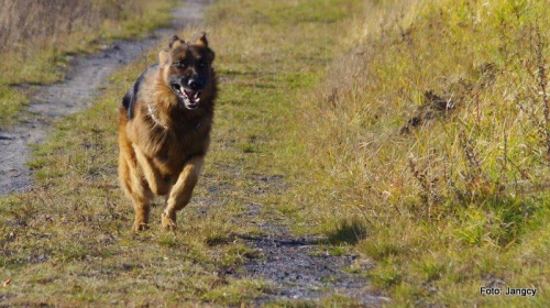 Sobota,popołudnie 5 godzin po oddaniu krwi #Parys #GildoWiernyDruh