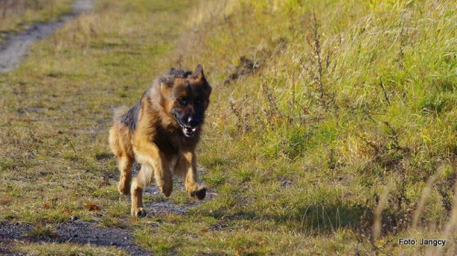 Sobota,popołudnie 5 godzin po oddaniu krwi #Parys #GildoWiernyDruh