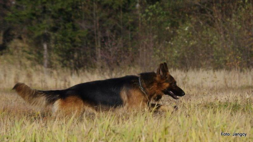 Sobota,popołudnie 5 godzin po oddaniu krwi #Parys #GildoWiernyDruh