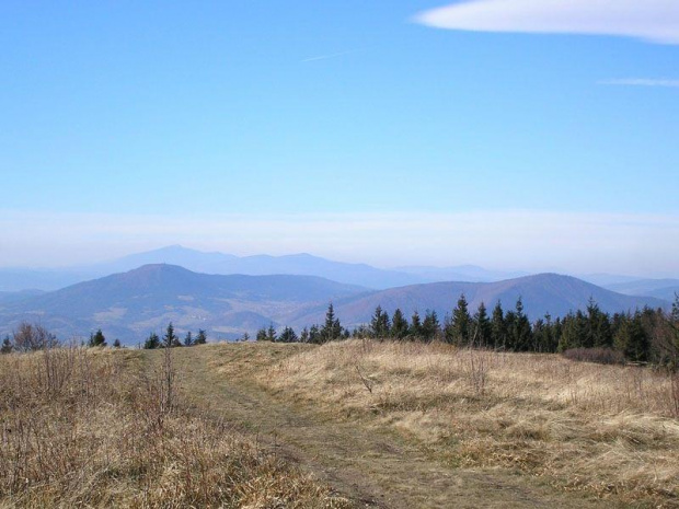 Luboń Wielki i Szczebel oraz Babia Góra i Polica z Ćwilina #góry #ćwilin #beskidy #BeskidWyspowy