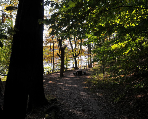 Październikowy spacer wkoło Jeziora Góreckiego w Wielkopolskim Parku Narodowym