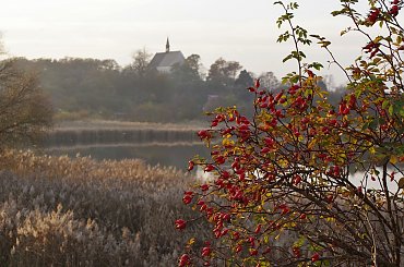 #DzikaRóża #kościół #jezioro #Lubięcin