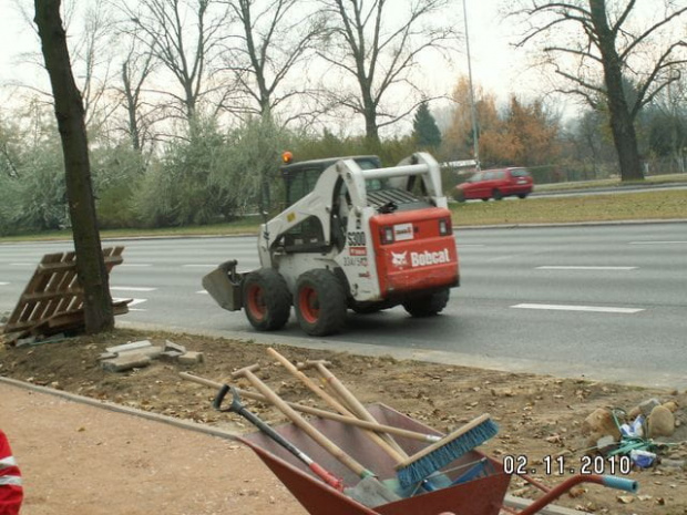 Koty czasami się przydają