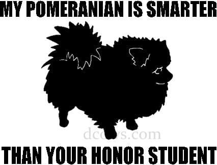 pomki