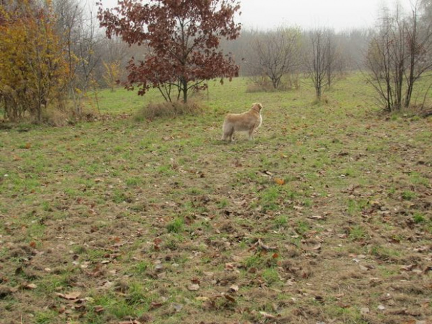 coś się dzieje