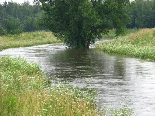 coraz więcej wody na Ślęzie we Wrocławiu, jak tak dalej będzie to zaleje most drogowy, prześwit to tylko kilka centymetrów