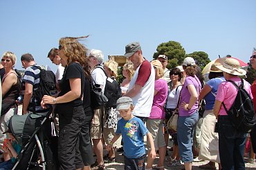 #Kreta #Konossos #zabytki #arczeologia #naczynia #pitosy #oliwa