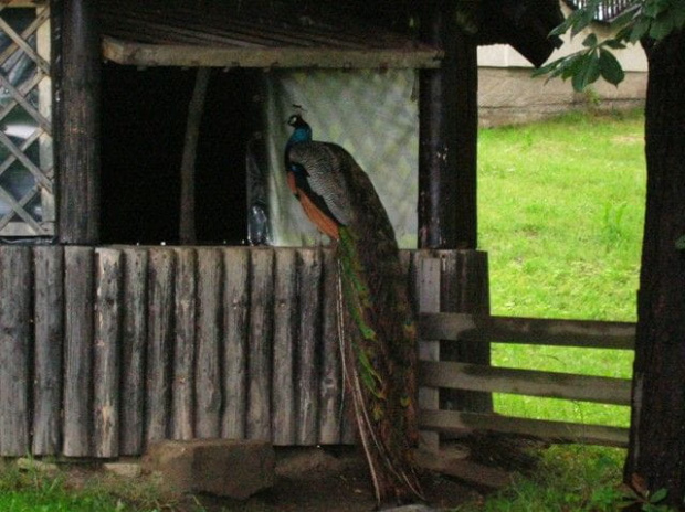 Strażki (Słowacja)