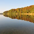 Jezioro Góreckie otoczone lasami w całej swojej urodzie jesiennej