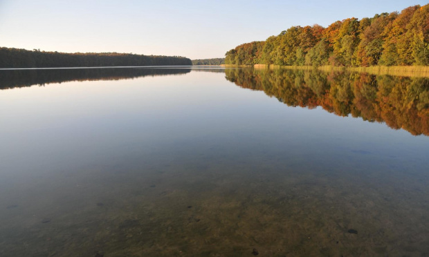 Jezioro Góreckie otoczone lasami w całej swojej urodzie jesiennej