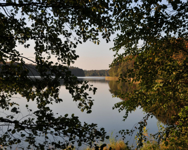 Jezioro Góreckie otoczone lasami w całej swojej urodzie jesiennej