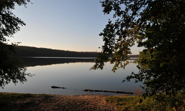 Jezioro Góreckie otoczone lasami w całej swojej urodzie jesiennej