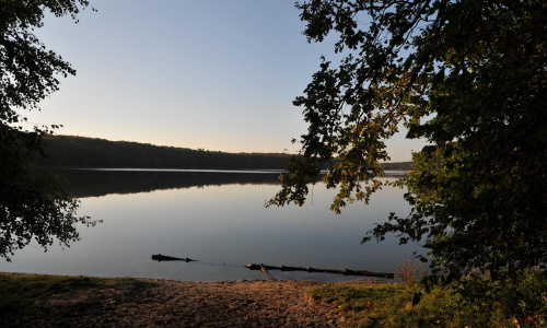 Jezioro Góreckie otoczone lasami w całej swojej urodzie jesiennej