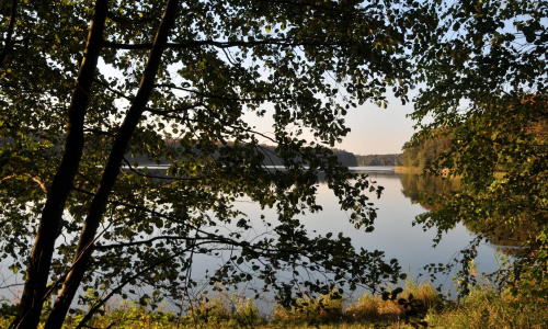 Jezioro Góreckie otoczone lasami w całej swojej urodzie jesiennej