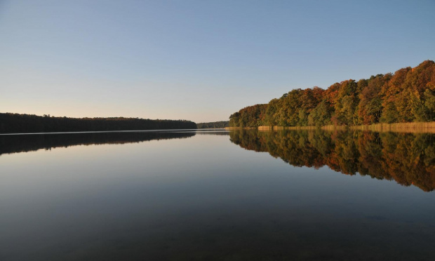 Jezioro Góreckie otoczone lasami w całej swojej urodzie jesiennej