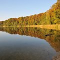 Jezioro Góreckie otoczone lasami w całej swojej urodzie jesiennej