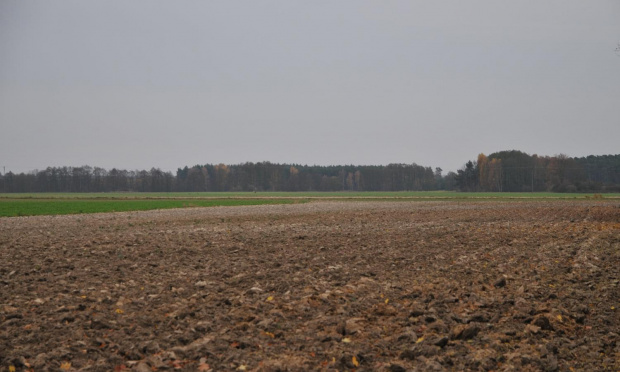 Jesień na wsi wielkopolskiej - Witowo