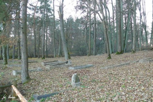 Liski - cmentarz wiejski #Liski