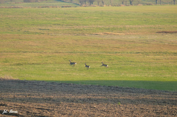 Mazury - jesienne ostatki #Mazury