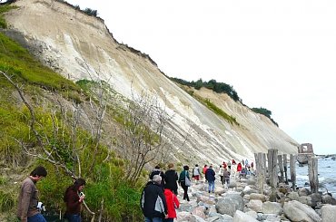 Klifowy brzeg Rugii w Arkonie, wysokość 45 m. #klif #wyspa