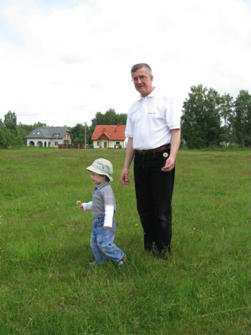 razem zbieramy następne dmuchawce