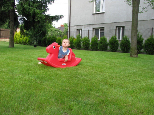 Julia na trawie,
początek czerwca 2009