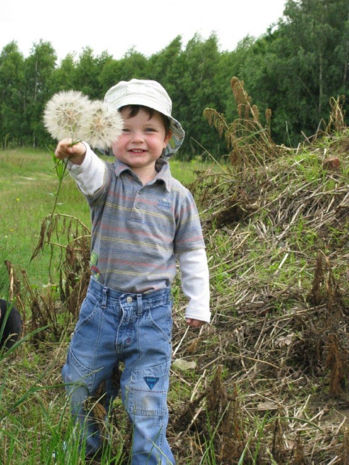 wielka radość z dużych puf-pufów