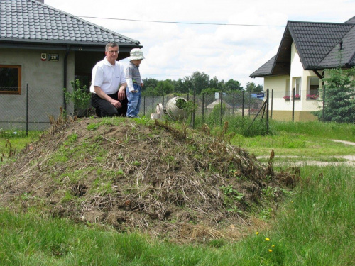 na szczycie wzgórza