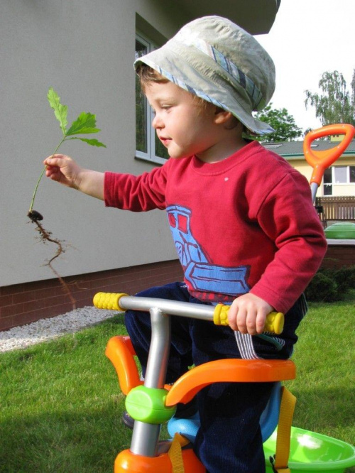 jadę z wielkim chwaściorem