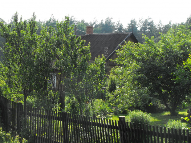 Ekotrasa