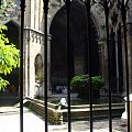 Barcelona-hiszpania-krużganki katedry św.Eulalii #BARCELONA #MIASTA #KATEDRY #KRUŻGANKI